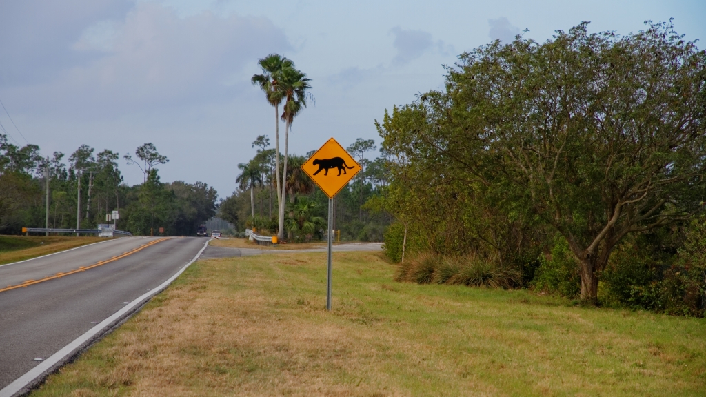 02 - Everglade NP (71).jpg